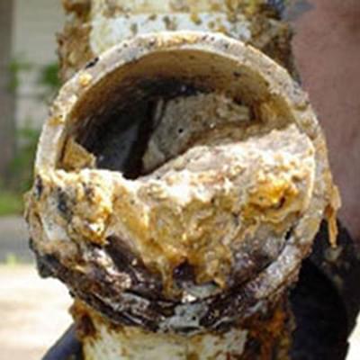 Clogged sewer pipe